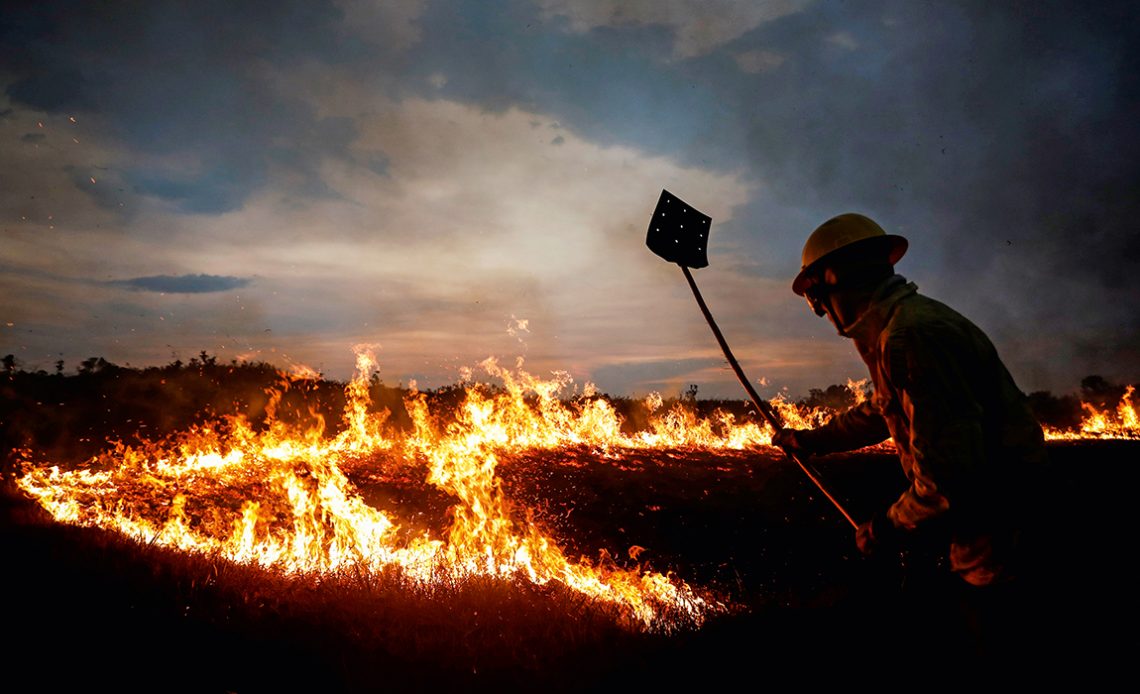 Membro da brigada de incêndio florestal em operação de combate ao fogo