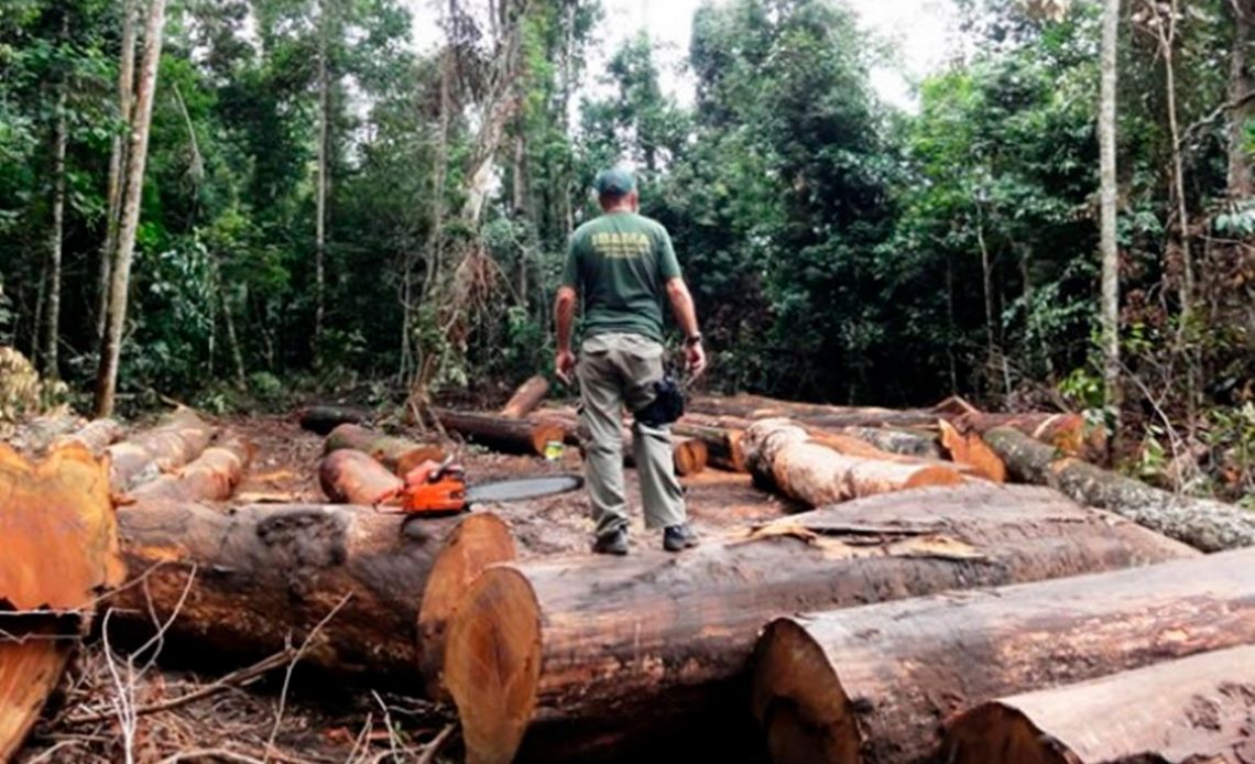 Desmatamento na Amazônia