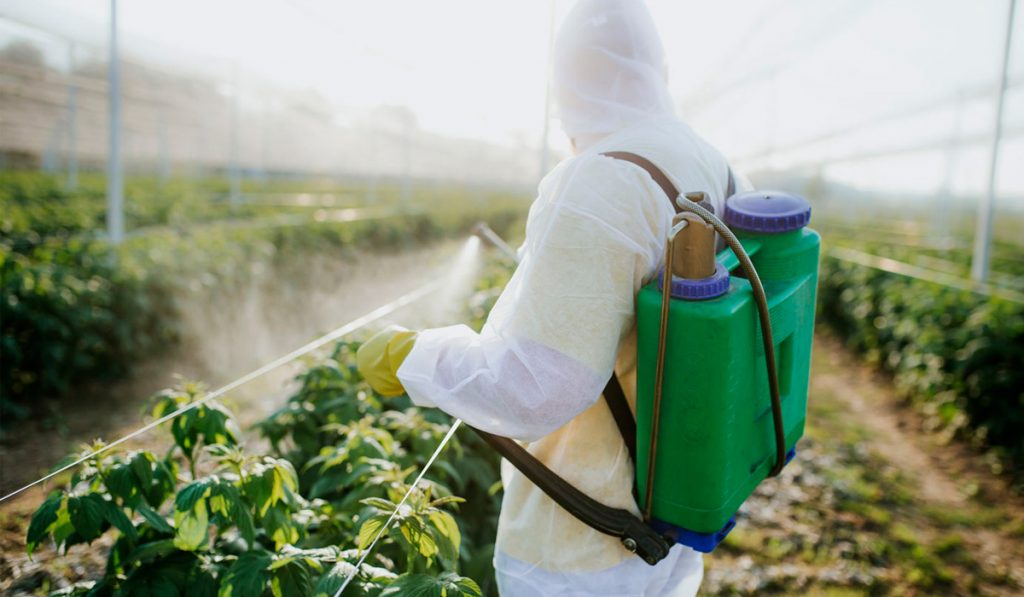 Trabalhador pulverizando com pesticida