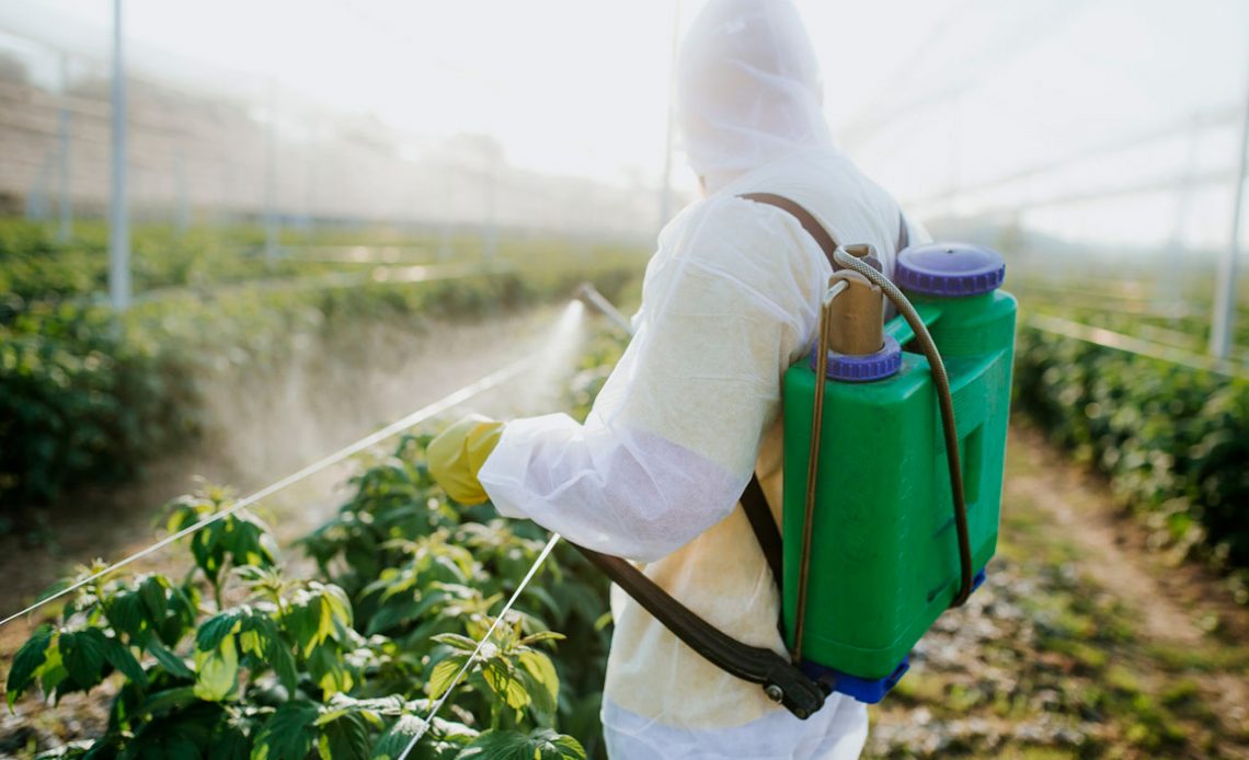 Trabalhador pulverizando com pesticida