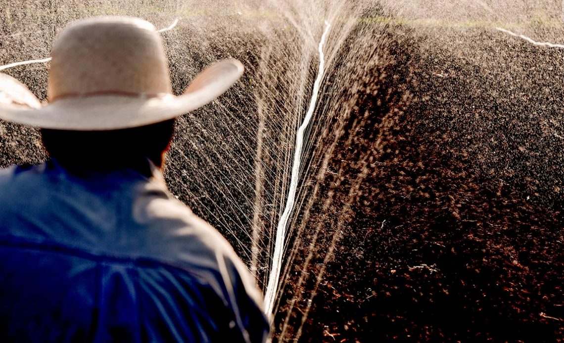 Produtor rural manejando seu equipamento de irrigação