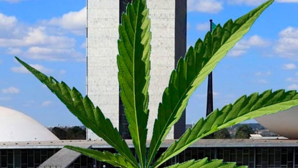 Folha de maconha com o Congresso Nacional ao fundo