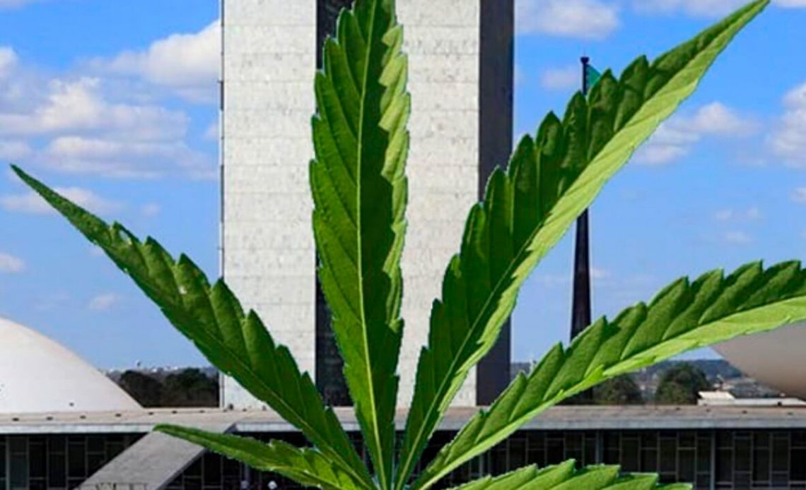 Folha de maconha com o Congresso Nacional ao fundo