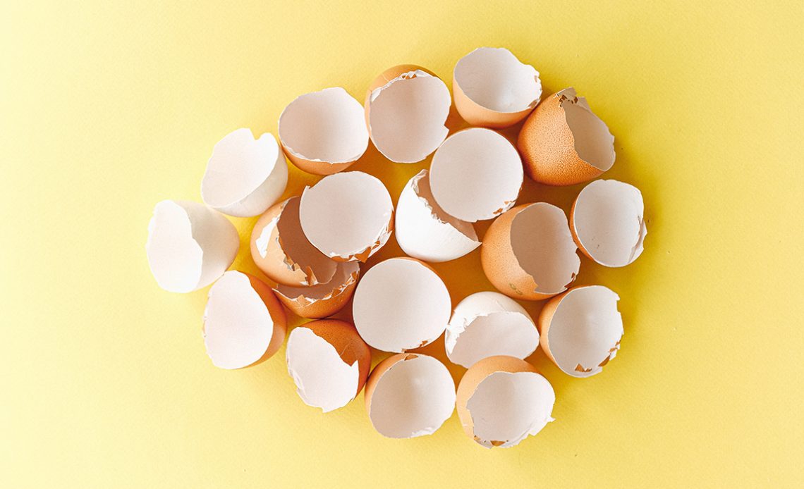 Cascas de ovos separadas para reaproveitamento