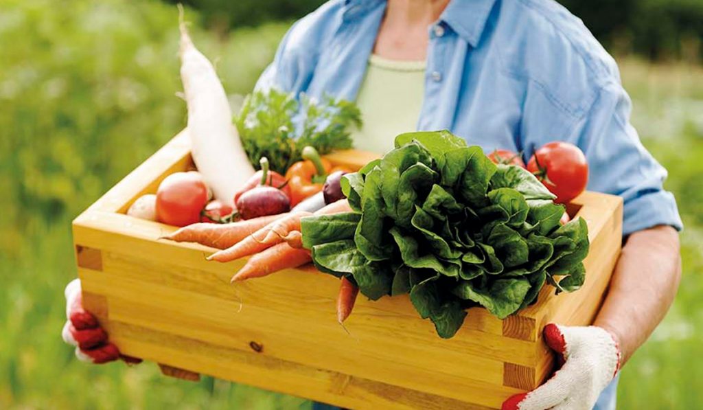 Agricultor familiar com caixa de legumes e verduras