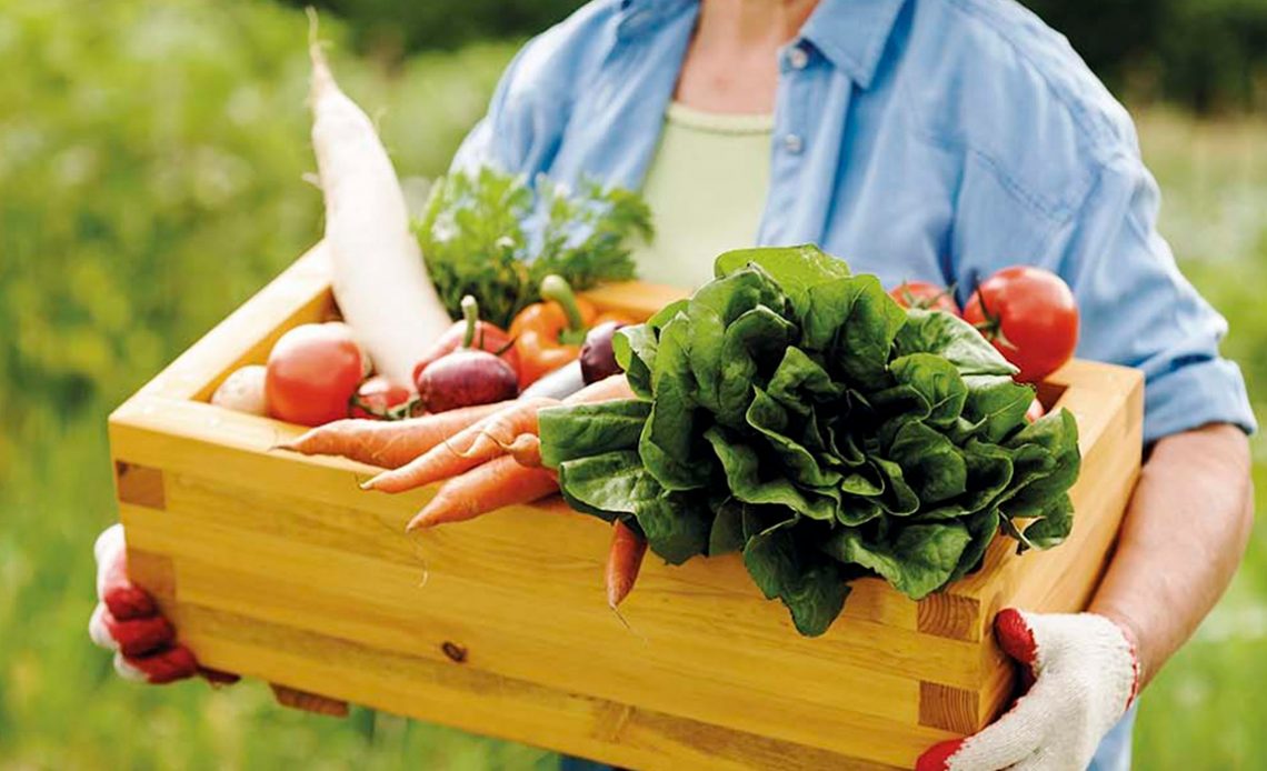 Agricultor familiar com caixa de legumes e verduras