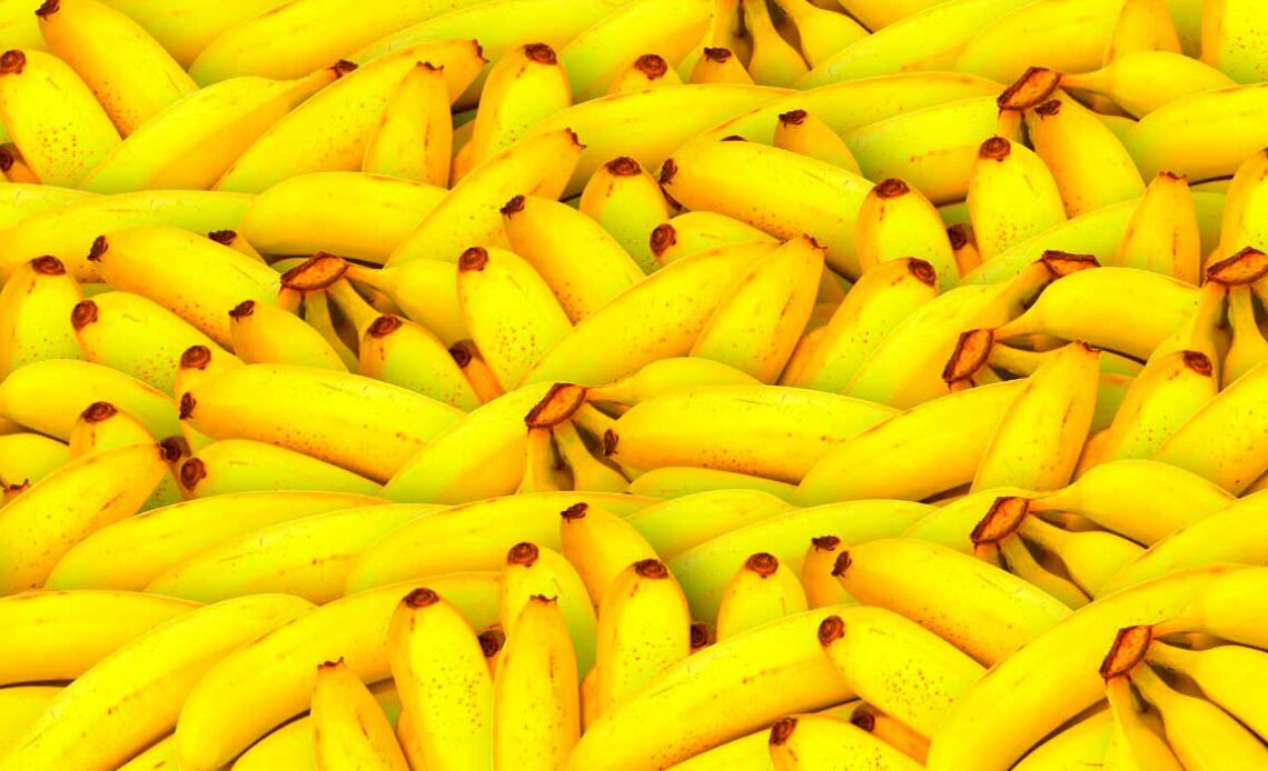 Bananas maduras