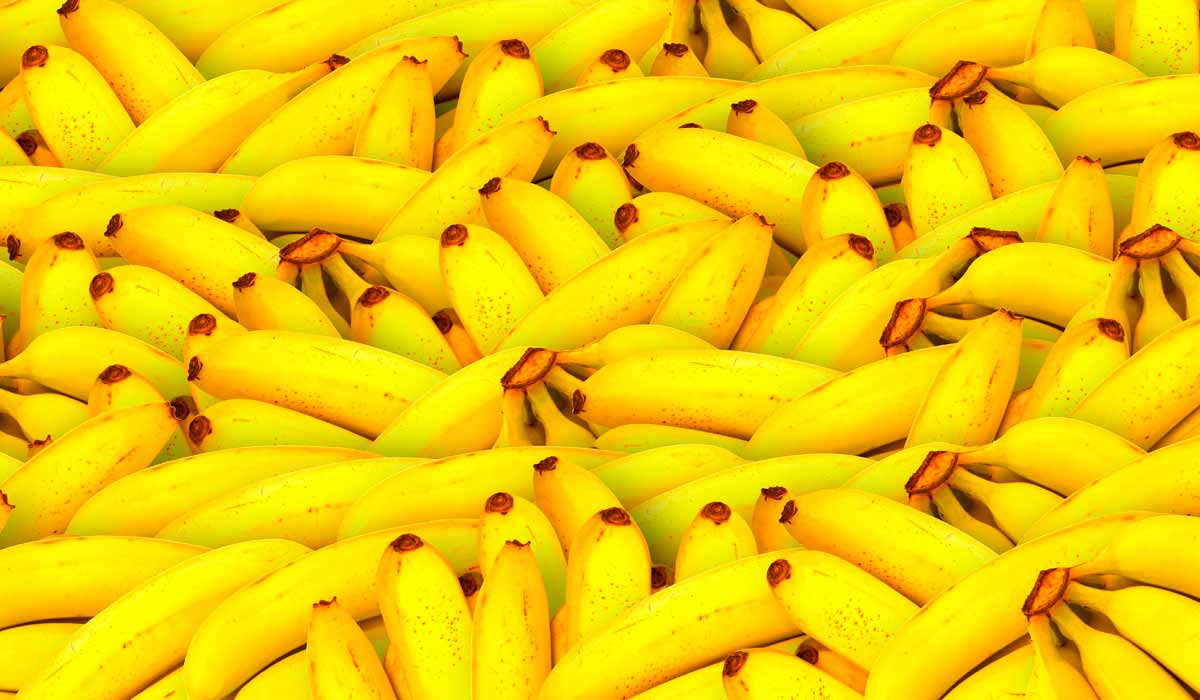 Bananas maduras