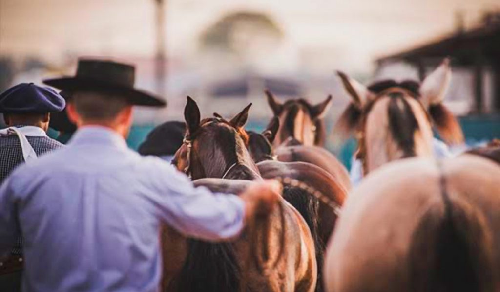 Ginetes com seus cavalos