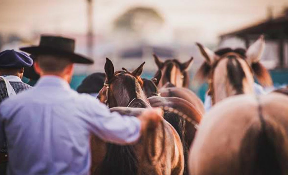 Ginetes com seus cavalos