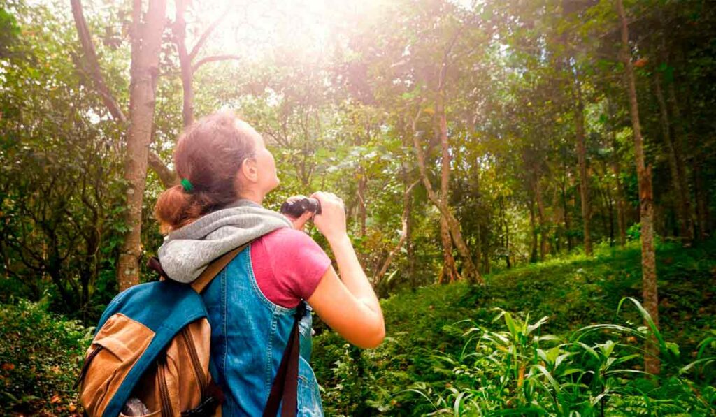 Ecoturista observando fauna em trilha na floresta