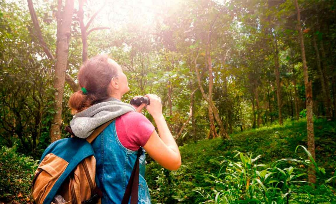 Ecoturista observando fauna em trilha na floresta