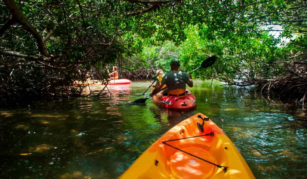 Ecoturistas praticando canoagem