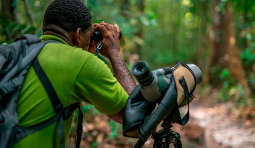Ecoturista observando aves na floresta