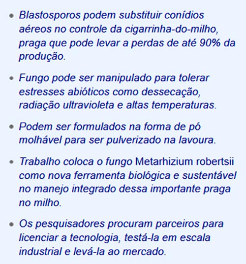 Texto destaque sobre o bioinseticida