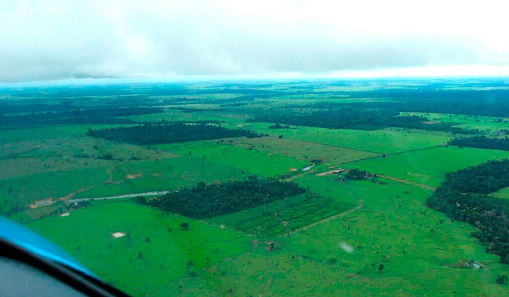 Vista aérea de região próxima a Alta Floresta, em Mato Grosso, um dos quatro pontos da Amazônia em que o estudo coletou amostras do ar para calcular o balanço de carbono - Imagem: Luciana Vanni Gatti