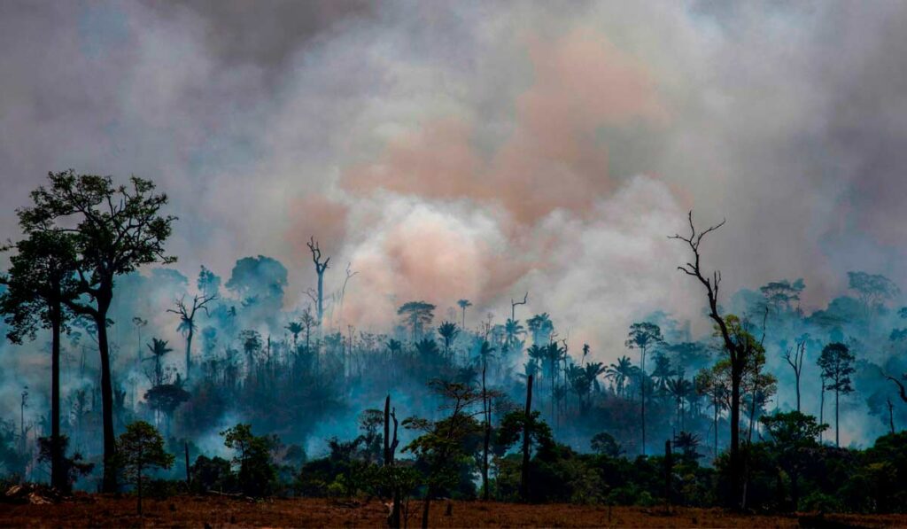 Amazônia em chamas