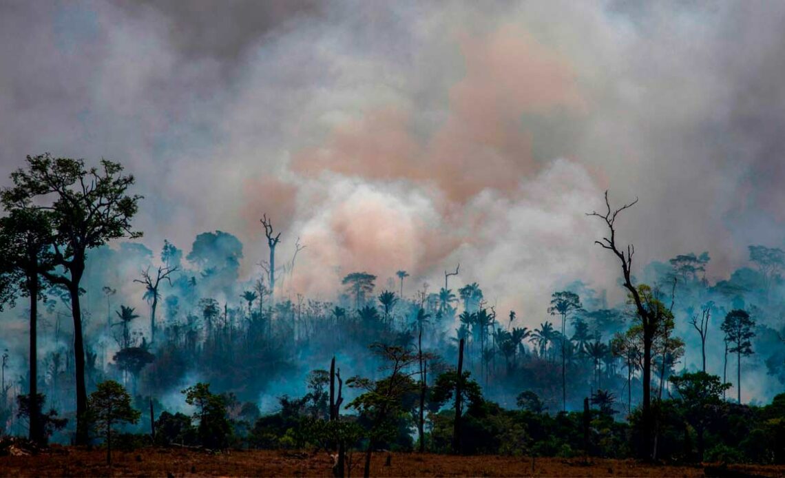 Amazônia em chamas