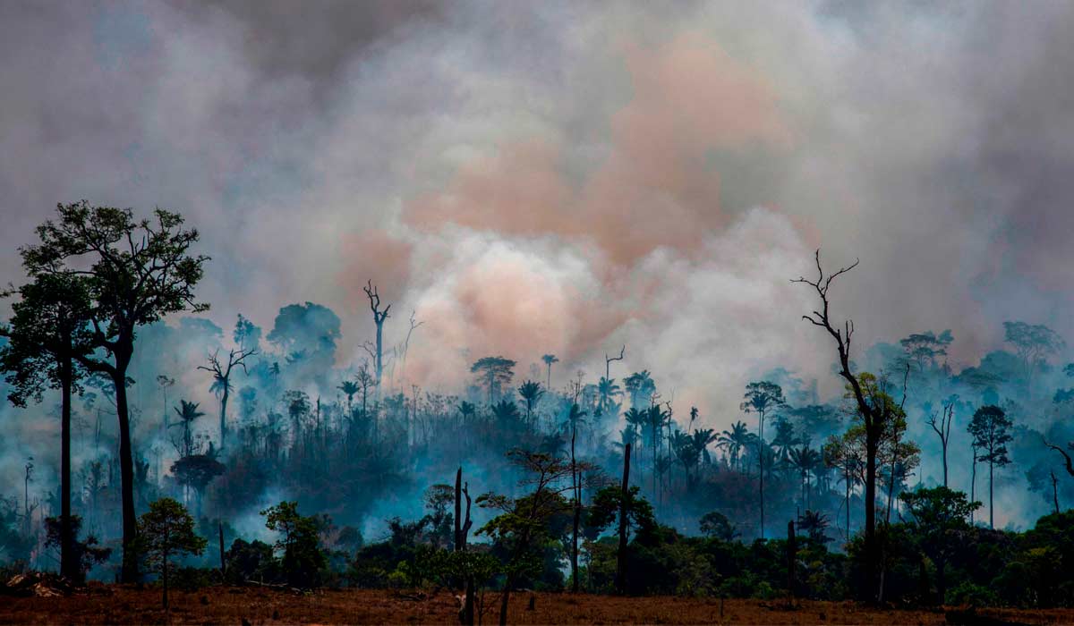 Amazônia em chamas