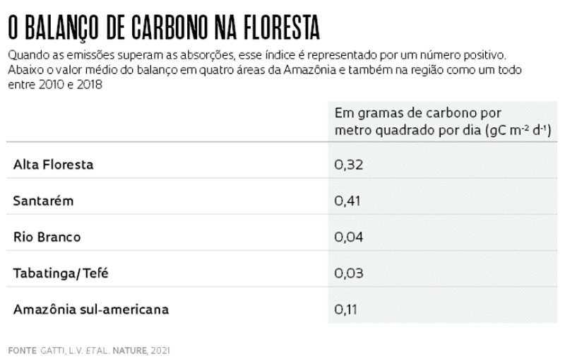 Tabela de balanço de carbono na floresta