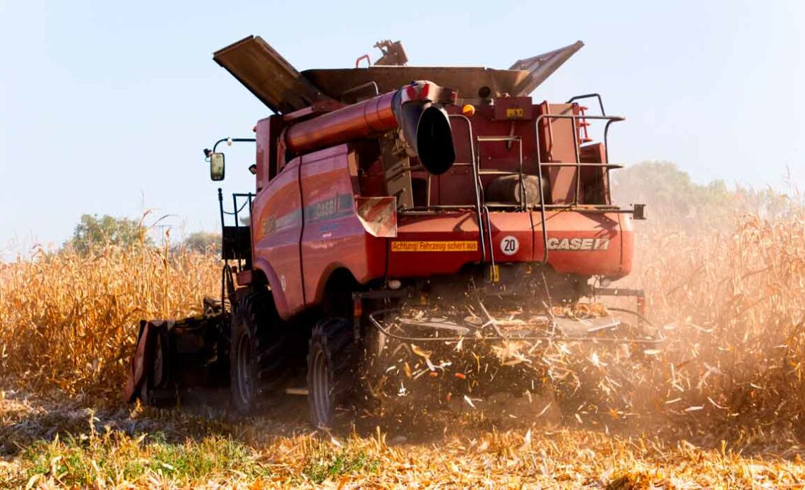 Colheitadeira em lavoura de milho - produção de resíduos agrícolas - palhada