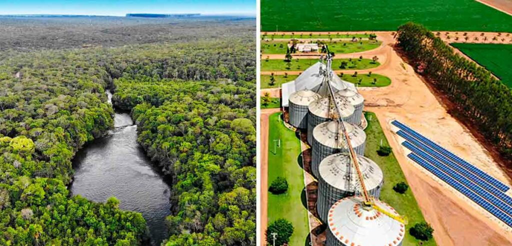 Área de reserva legal e silos com painéis solares