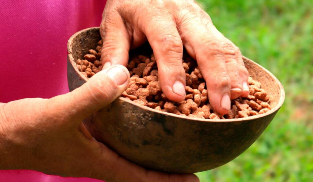 Piscicultor preparado para alimentar a criação