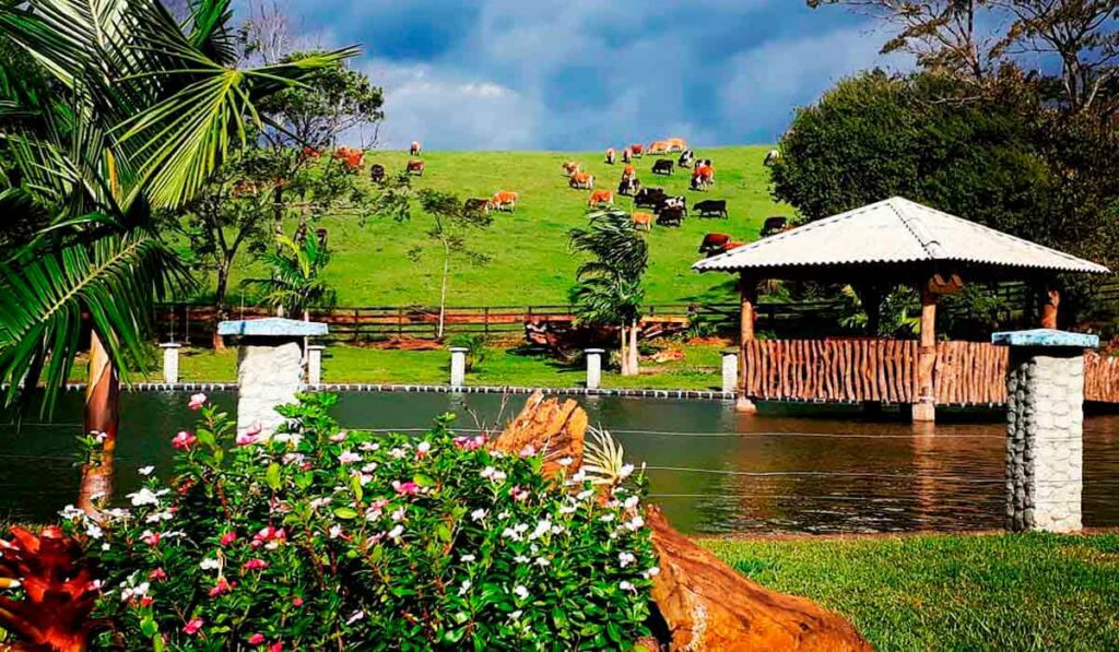 Lago com vacas ao fundo