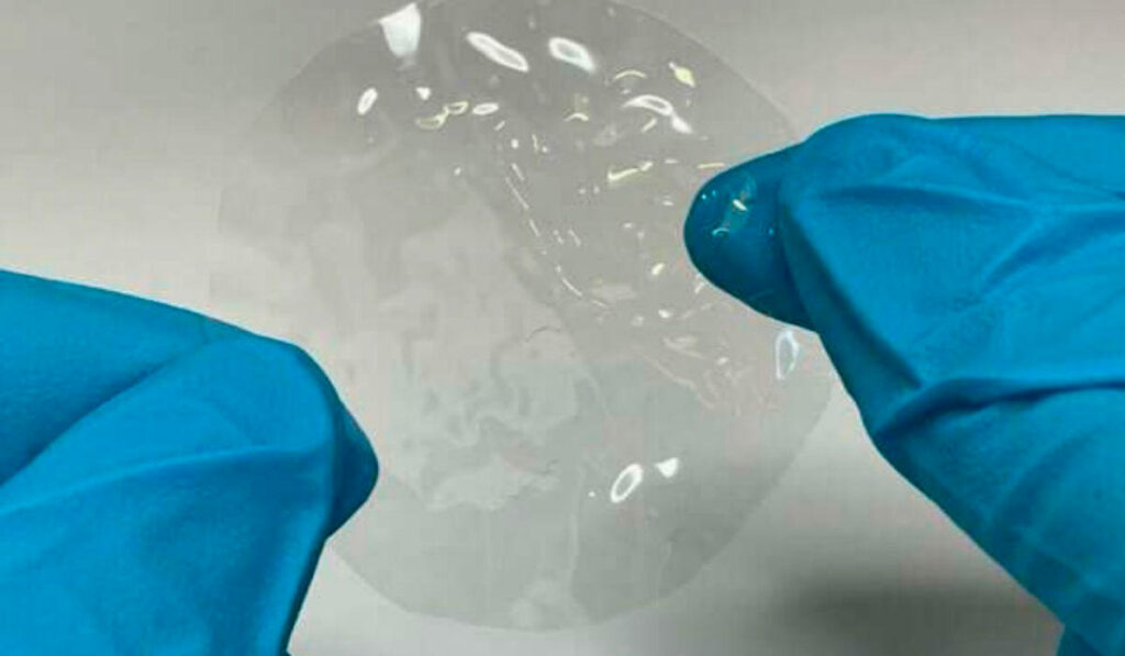 Pesquisador com luvas segurando uma película de bioplástico