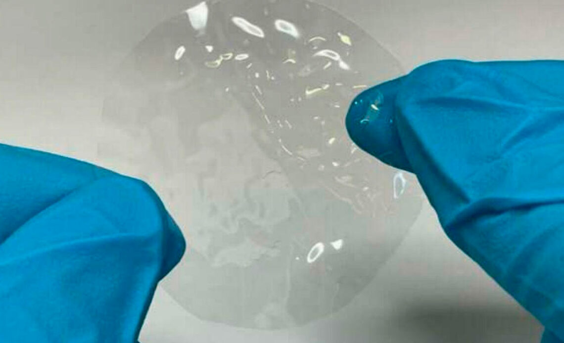 Pesquisador com luvas segurando uma película de bioplástico