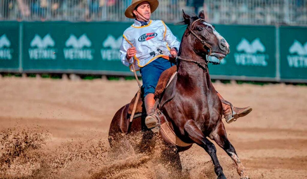 Monarca da Dom Manoel vencedor da classificatória Gaúcha Sul na categoria machos Foto: Fagner Almeida