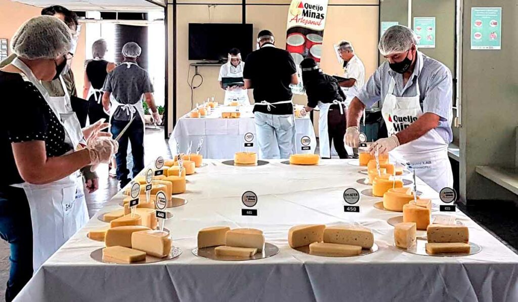 Mesa sendo organizada com queijos que participam do concurso