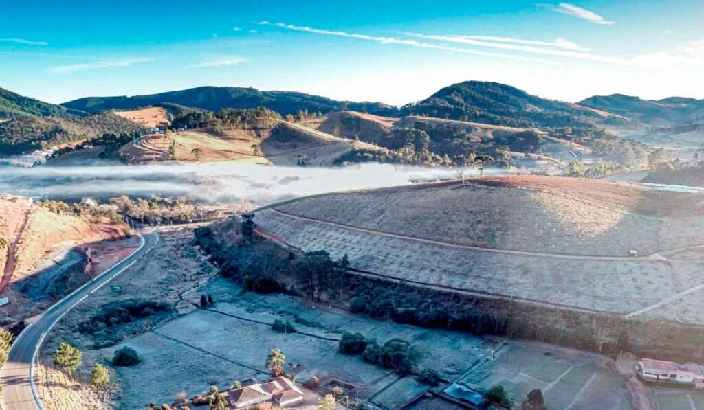 Panoramica dos efeitos da geada no cafezal