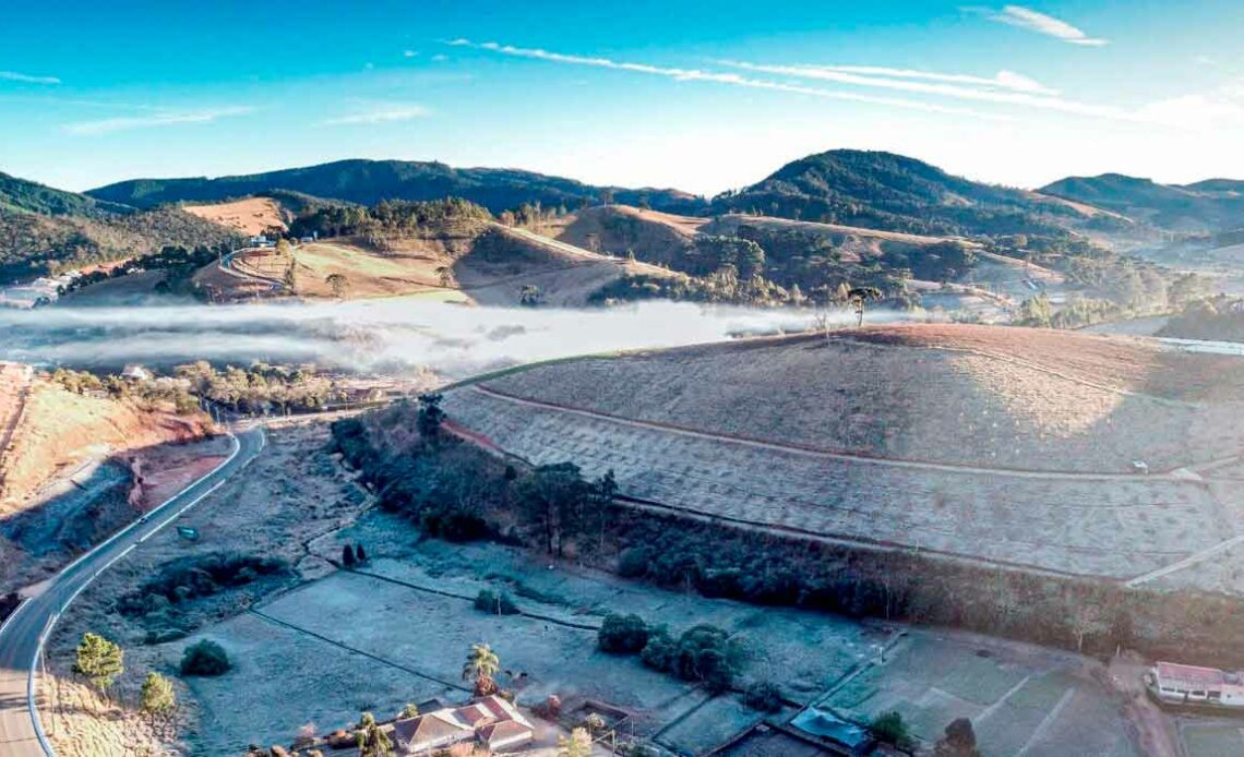 Panoramica dos efeitos da geada no cafezal