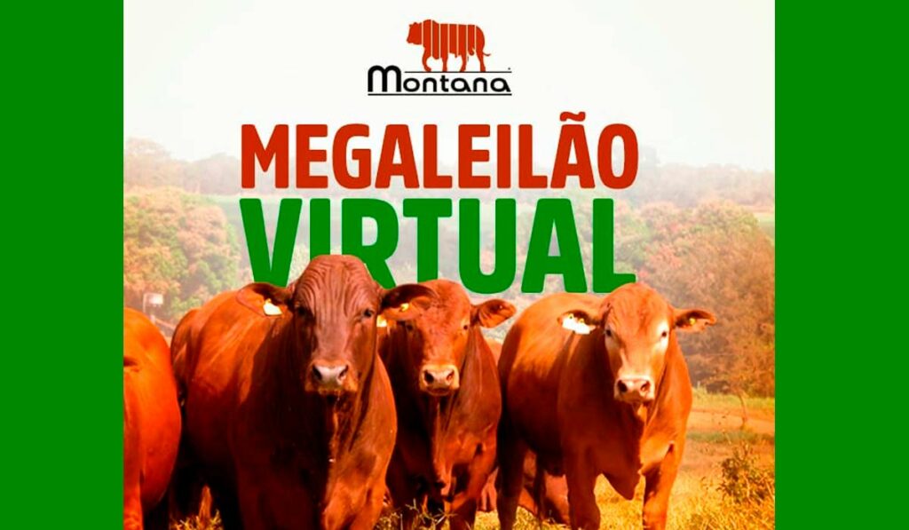 Chamada para o Megaleilão Virtual Montana 2021