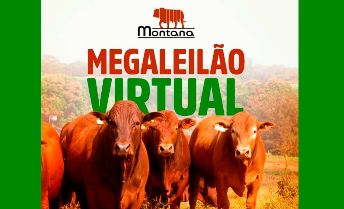 Chamada para o Megaleilão Virtual Montana 2021