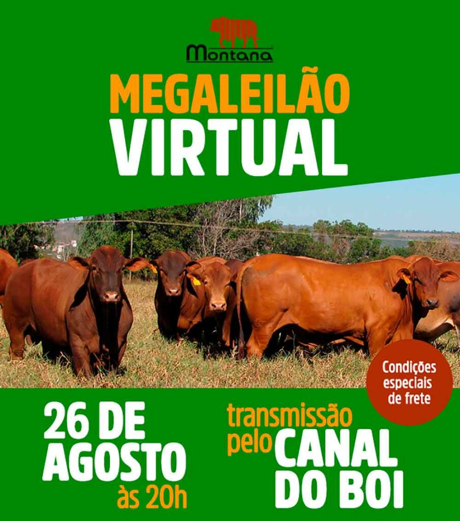 Chamada do Megaleilão Virtual Montana 2021