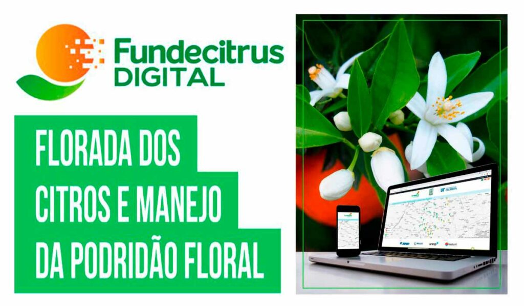 Chamada para o Webinar sobre Florada dos Citros e Manejo da Podridão Floral - Fundecitrus