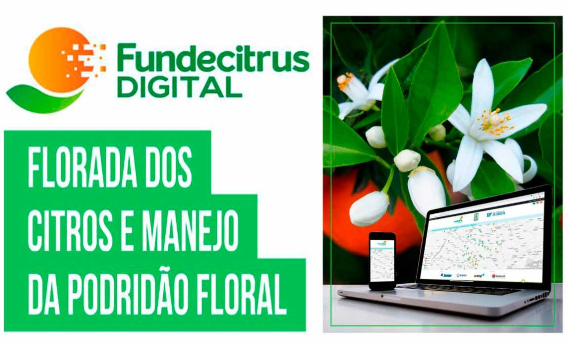 Chamada para o Webinar sobre Florada dos Citros e Manejo da Podridão Floral - Fundecitrus