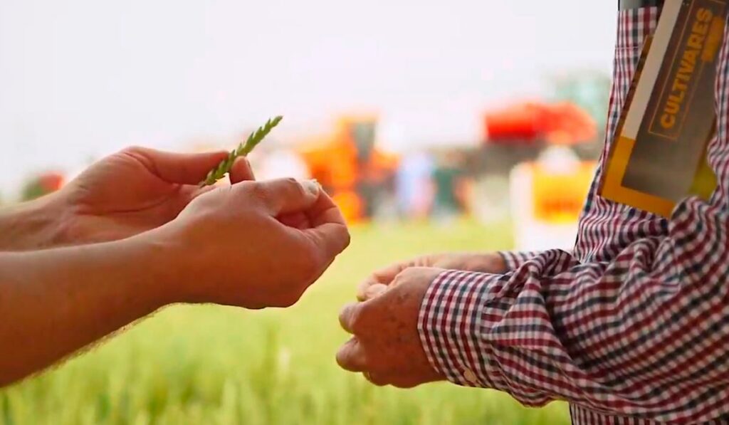 Agricultor recebendo orientação do técnico na edição passada do Show Rural Coopavel Edição de Inverno