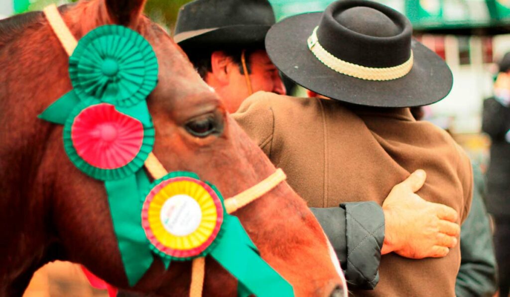 Cavalo e seu criador ao fundo