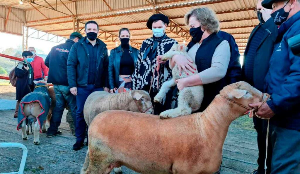 Secretária Silvana Covatti e equipe receberam os primeiros animais na Expointer 2021 - Foto: Itamar Aguiar