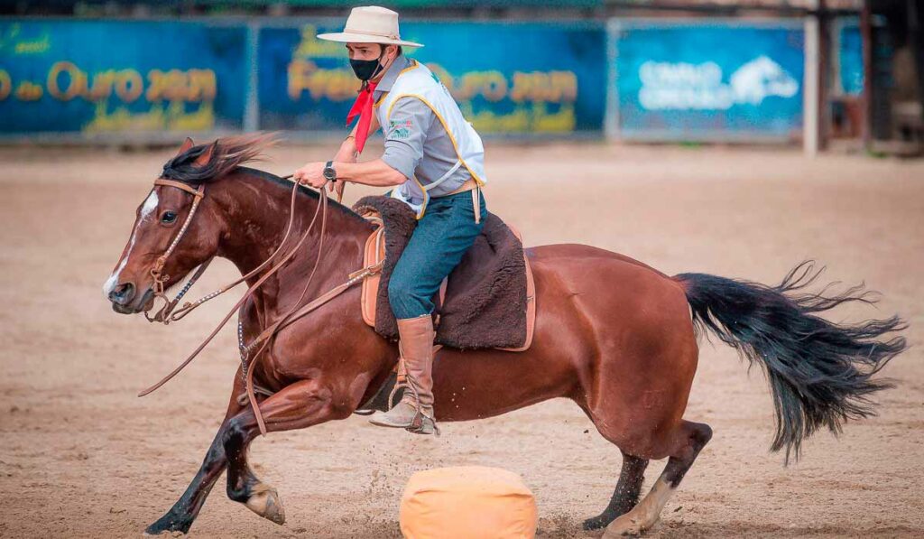 Basca Anita TE na pista de provas