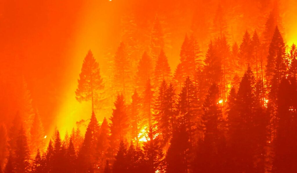 Últimos incêndios florestais na Europa - 2021