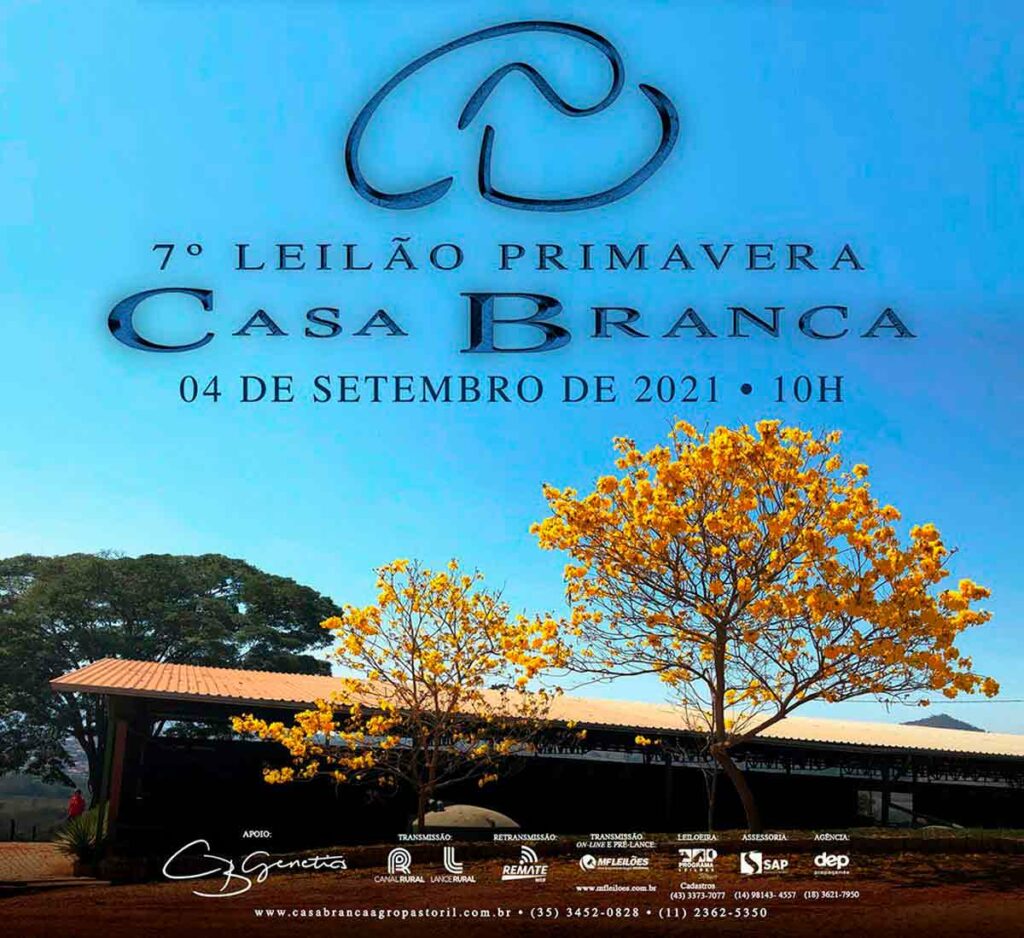 Chamada para o 7º Leilão Primavera Casa Branca Angus