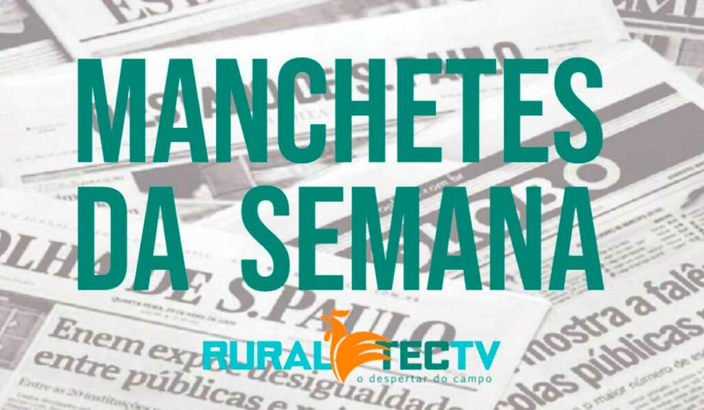 Manchetes da semana - 07 a 13-08-2021