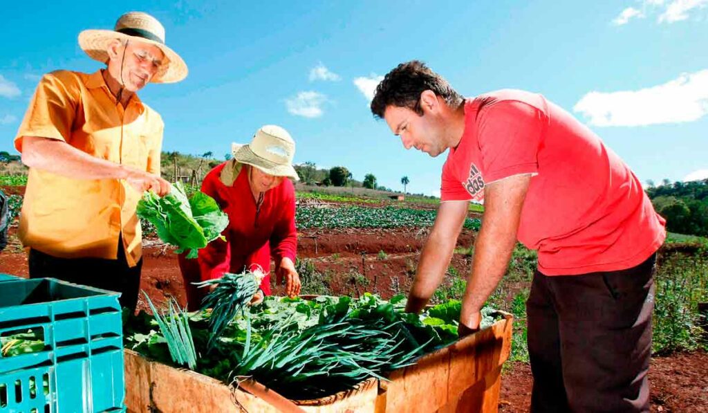 Agricultor vendendo sua produção