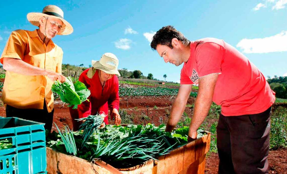 Agricultor vendendo sua produção