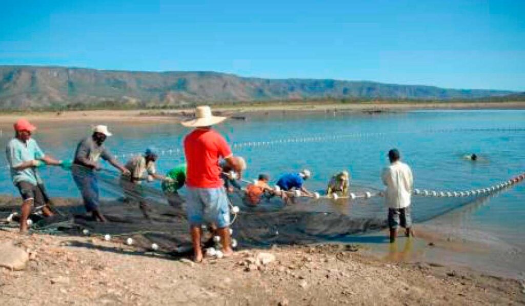 Pescadores no arrastão