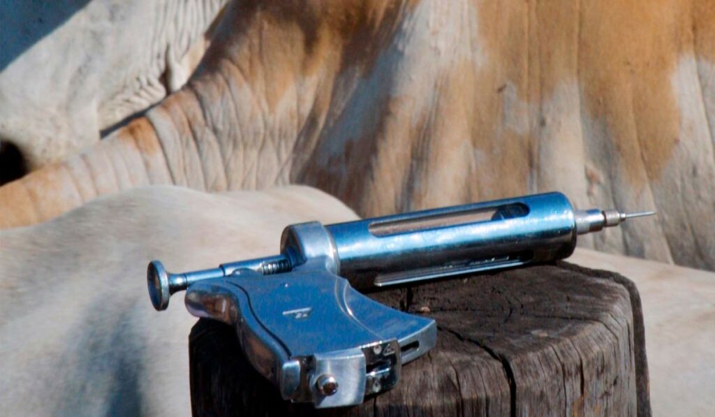 Pistola de vacinação sobre o moirão com gado ao fundo no curral